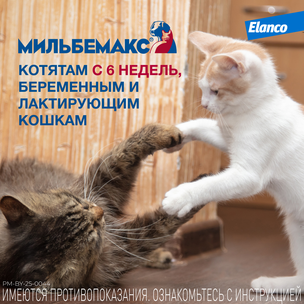 Антигельминтик для кошек Elanco Мильбемакс крупных пород 2таблетки - фото 6