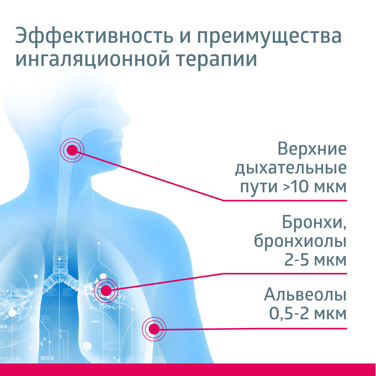 Ингалятор B.Well MED-120 медицинский - фото 6