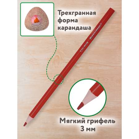 Карандаши цветные Brauberg 12 шт.