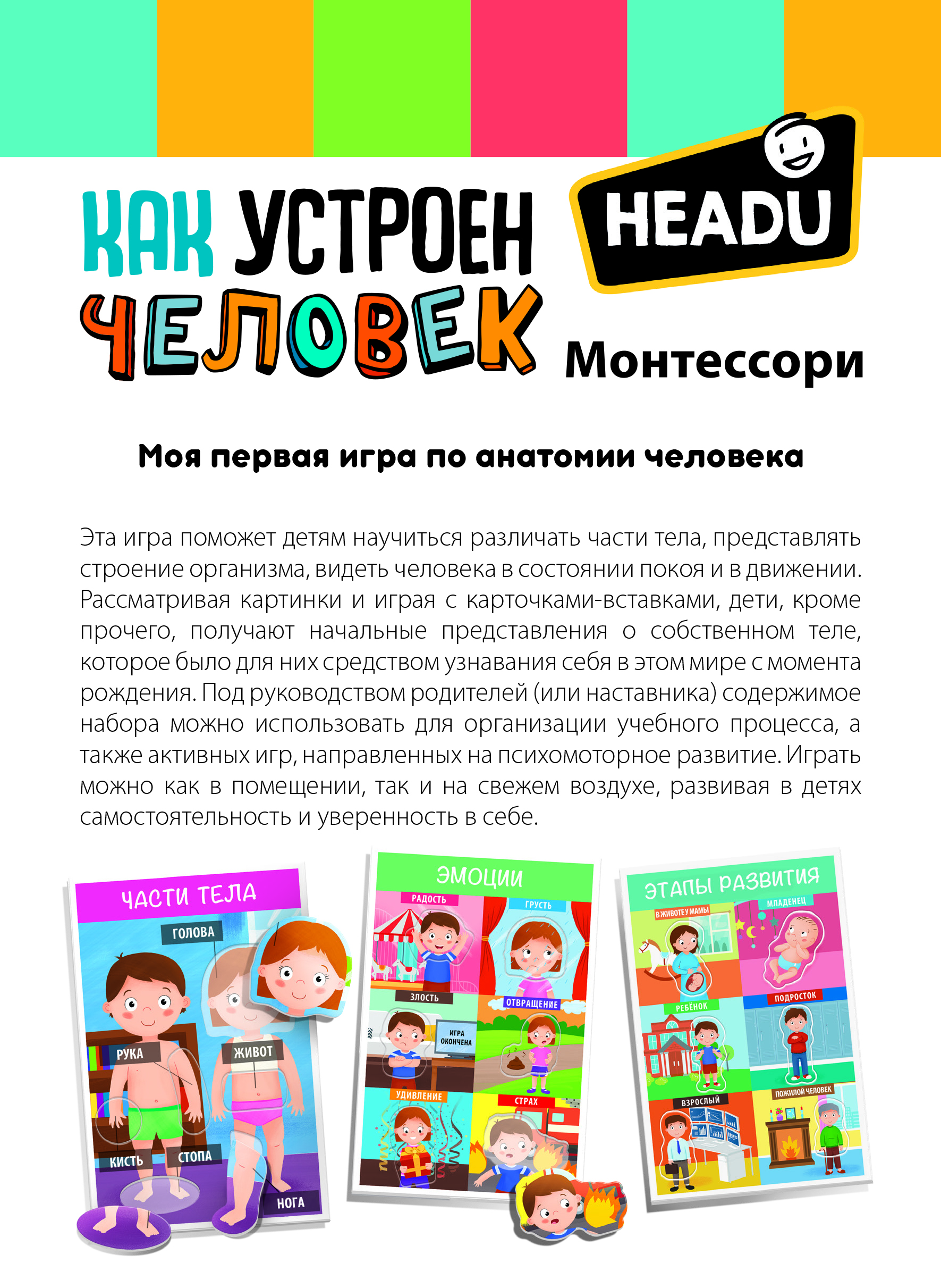 Настольная игра HEADU Как устроен человек для детей - фото 5