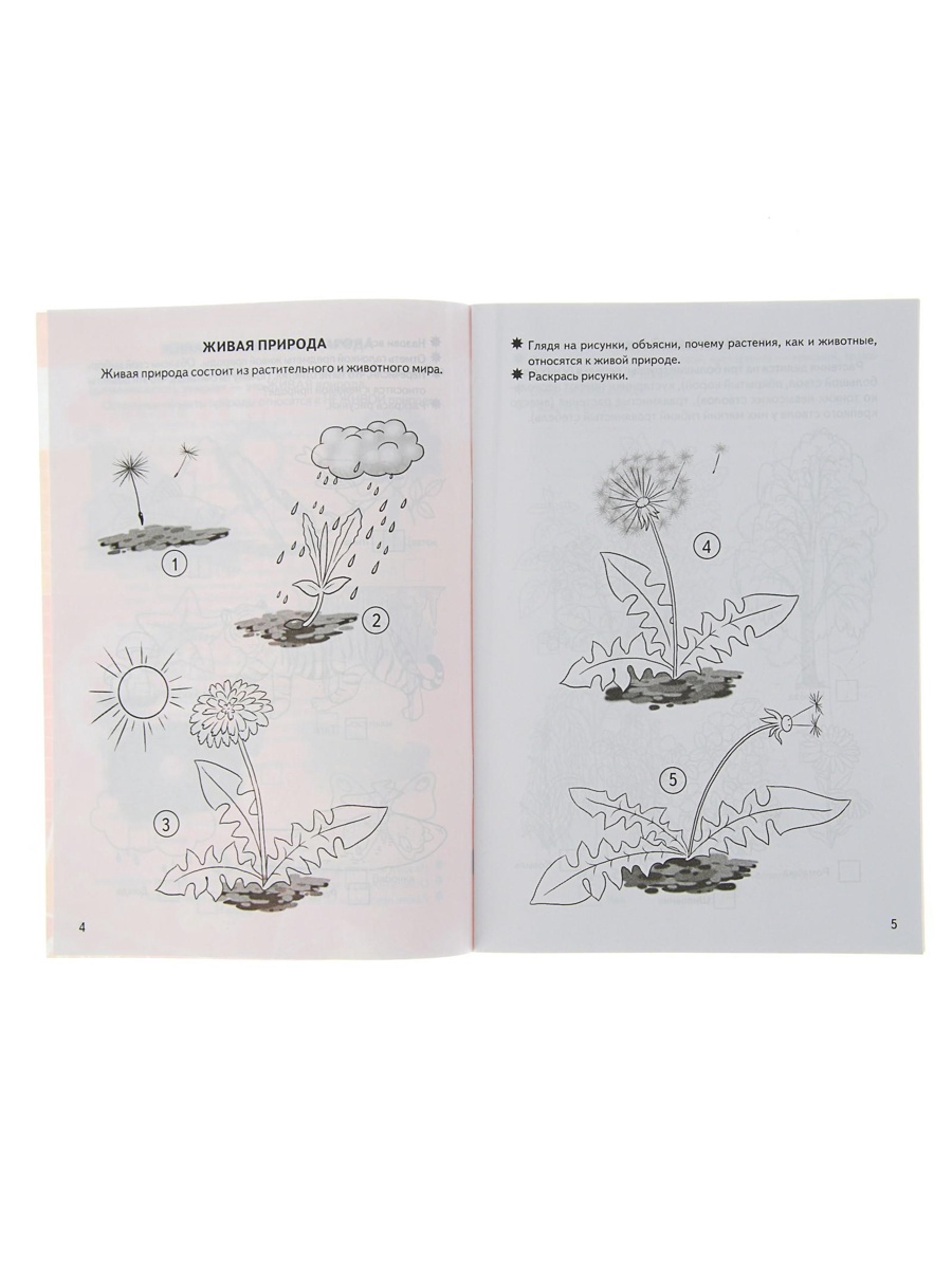 Рабочая тетрадь Литур Знакомимся с окружающим миром 5-6 лет - фото 4