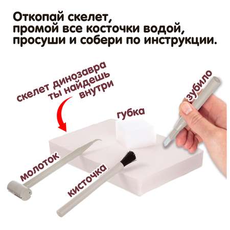 Набор для раскопок Bondibon Науки с Буки