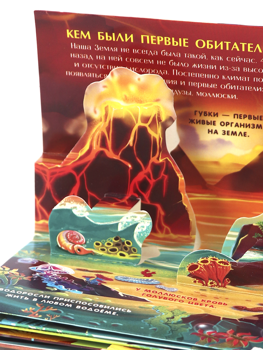 Набор книг Malamalama Коллекция карманных Энциклопедий о животных 6 шт - фото 15