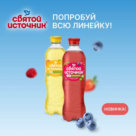 Напиток безалкогольный Святой Источник Вода + Сок со вкусом цитрусов газированный 0.50л ПЭТ