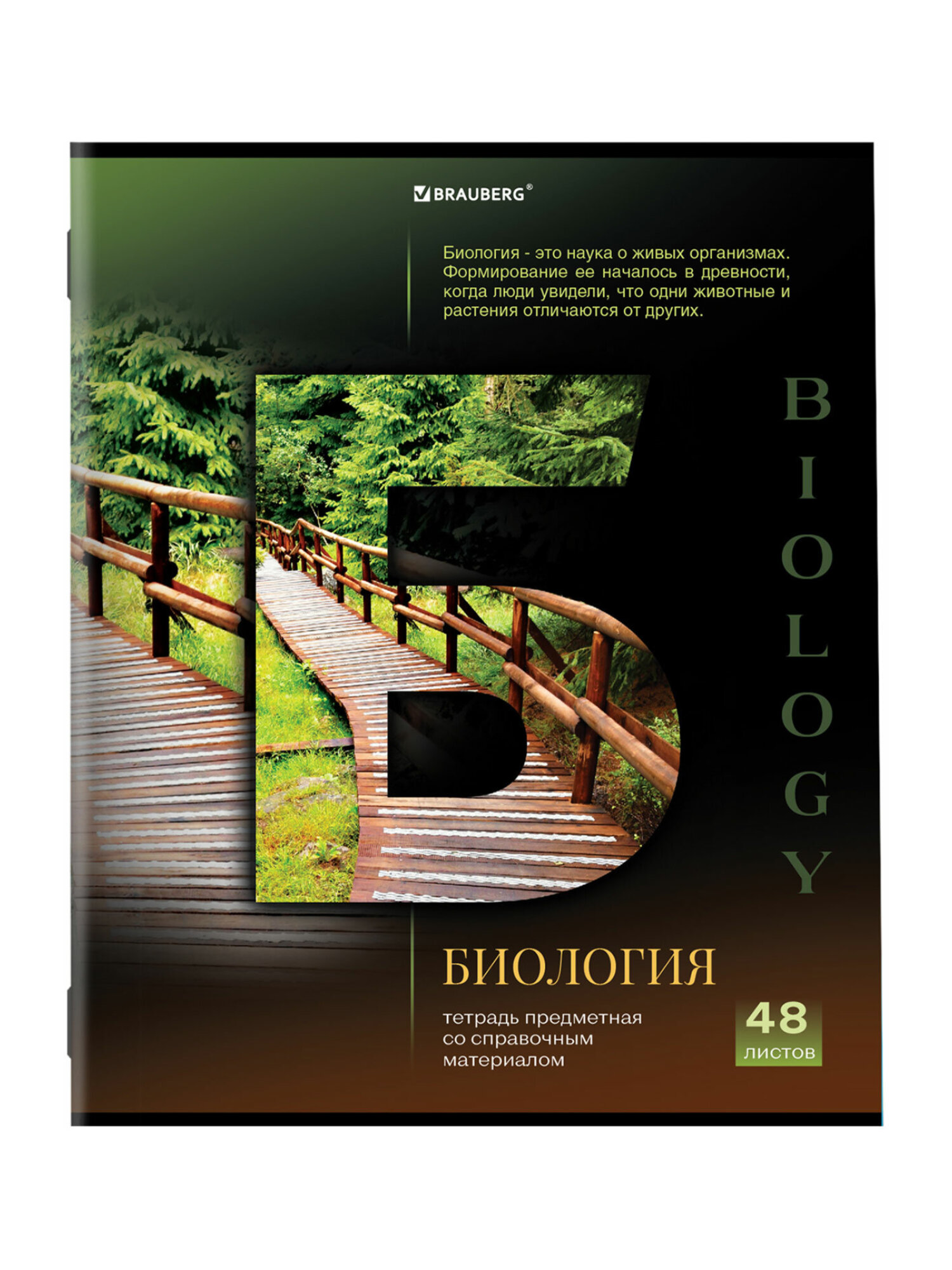 Тетрадь Brauberg 48 лист. 12 шт. - фото 19