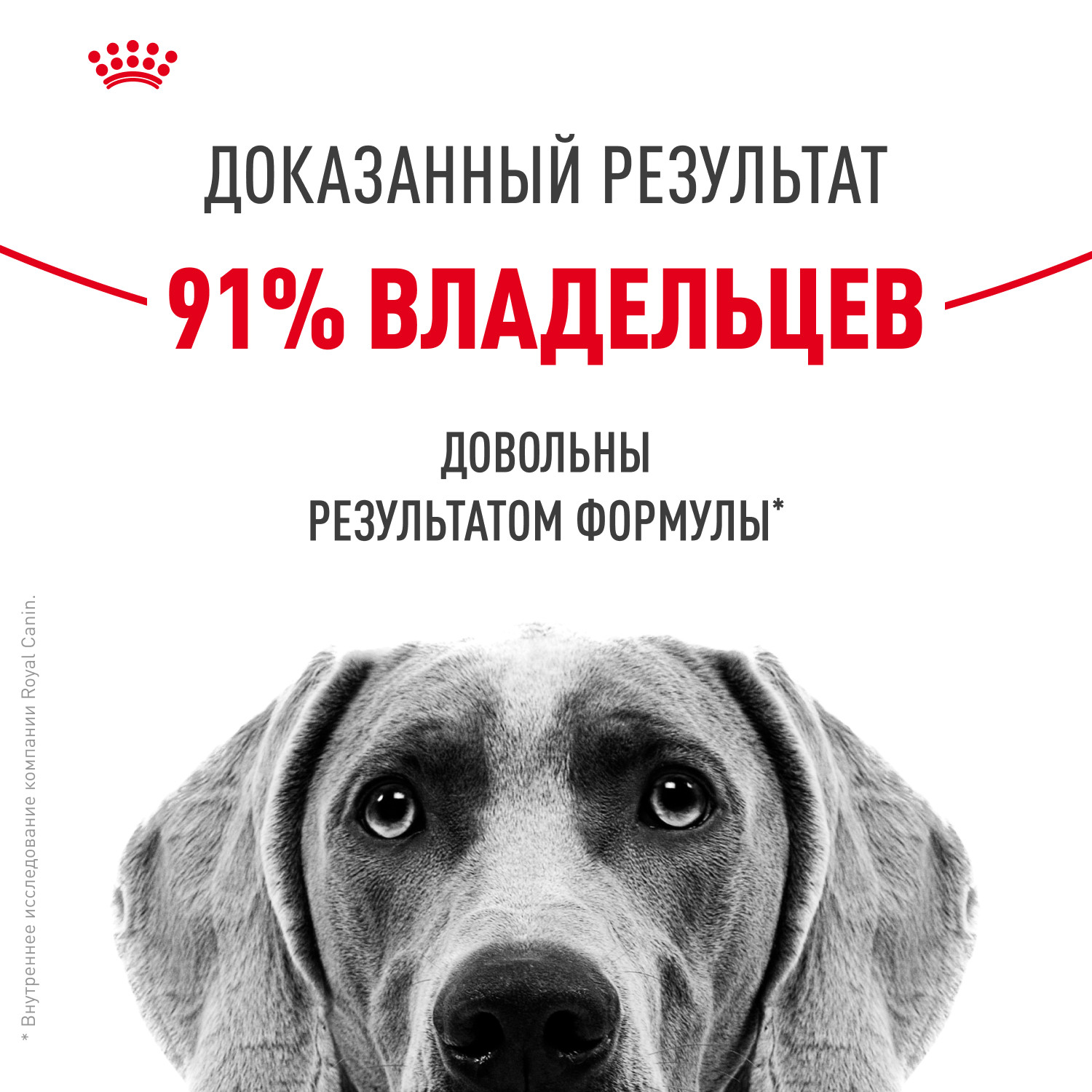 Корм для собак ROYAL CANIN Medium Dermacomfort средних пород склонных к кожным раздражениям и зуду 10кг - фото 4
