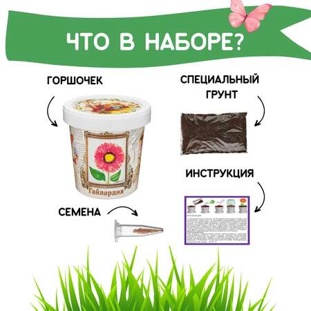 Набор для выращивания Rostok Visa