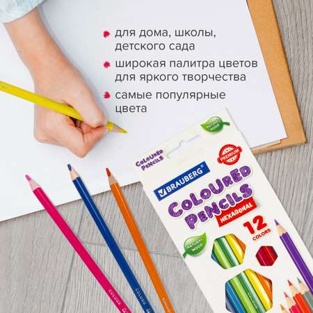 Карандаши цветные Brauberg 12 шт.