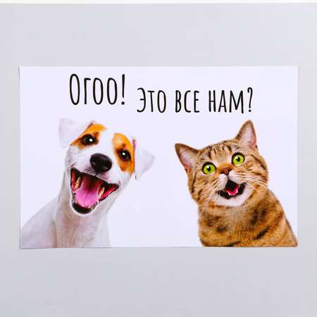 Коврик Пижон под миску 43х28 см Ого! Это всё нам?