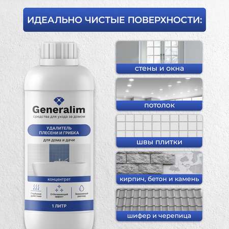 Средство от плесени Generalim для дома и дачи 1 л