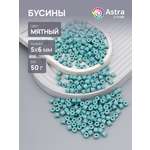 Набор для творчества Astra Craft бусины 5х6 мм 50г цилиндр