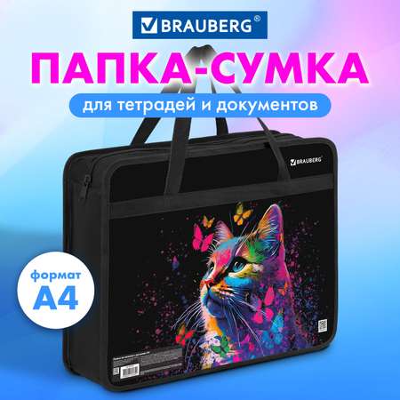 Папка для тетрадей Brauberg А4