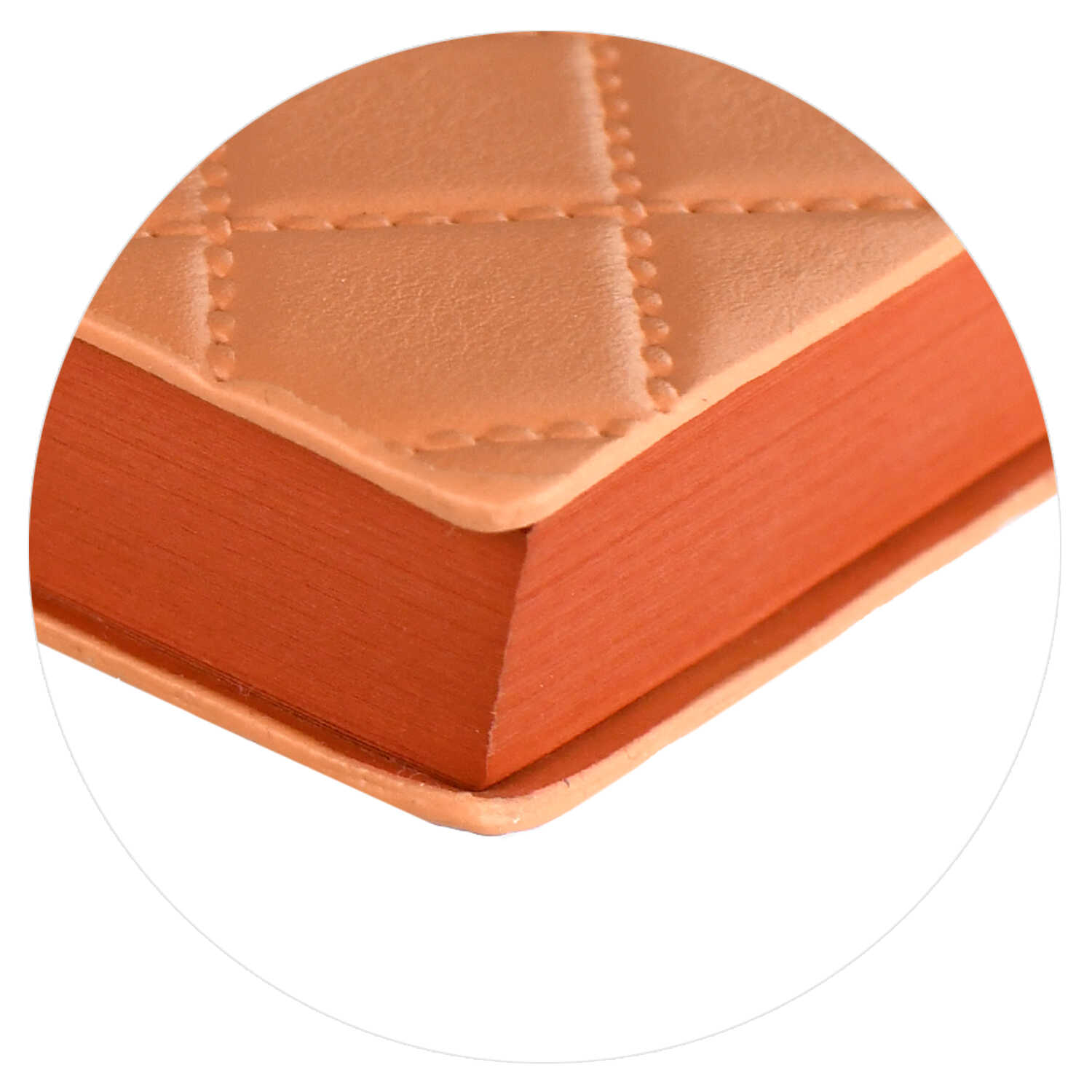 Ежедневник Феникс + ESCALADA 160 лист. - фото 2