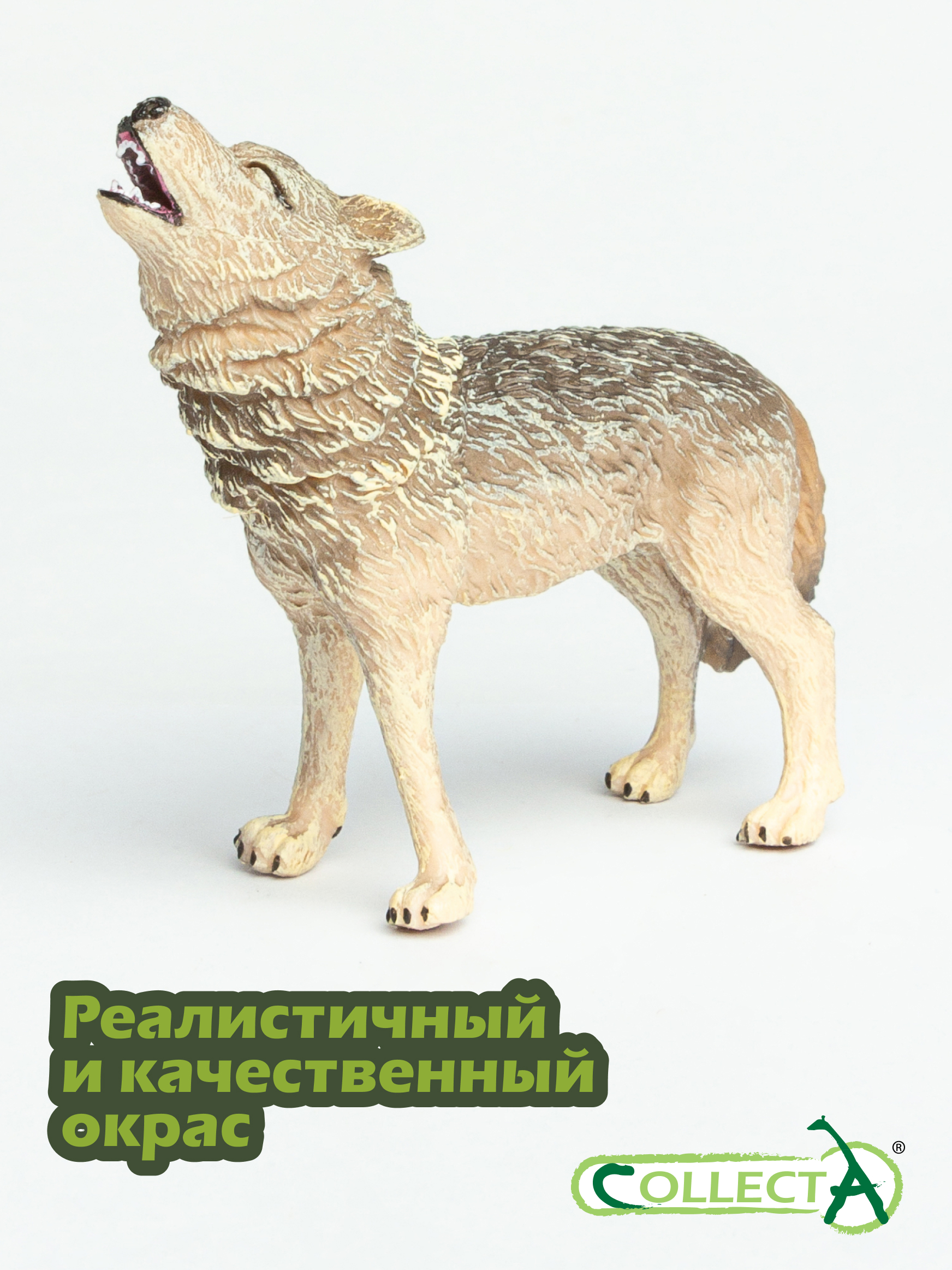 Фигурка Collecta Обыкновенный волк воющий - фото 4