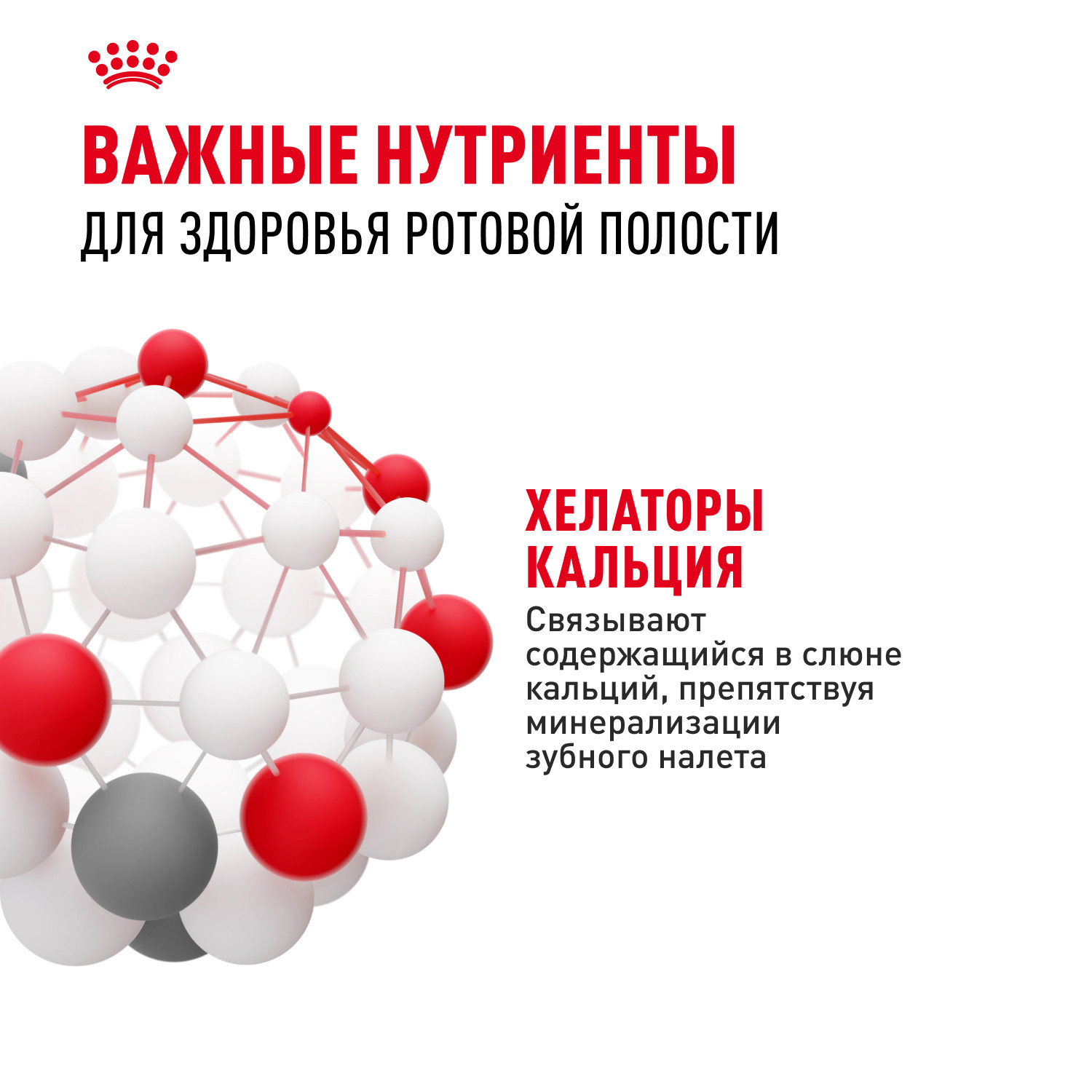 Корм для собак ROYAL CANIN Mini Dental мелких пород предрасположенных к образованию зубного камня 3кг - фото 6
