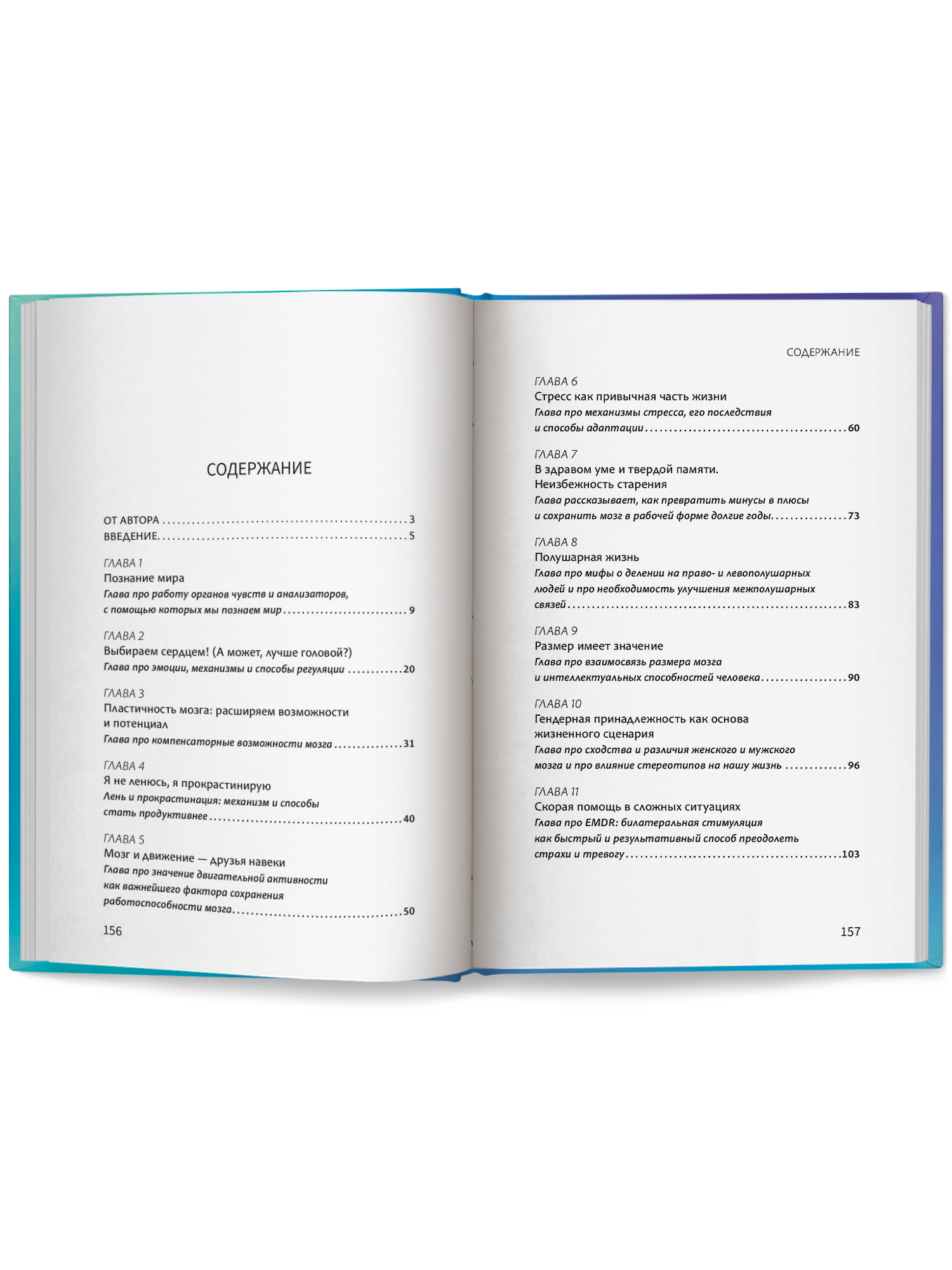 Мозг в форме Феникc Книга - фото 11