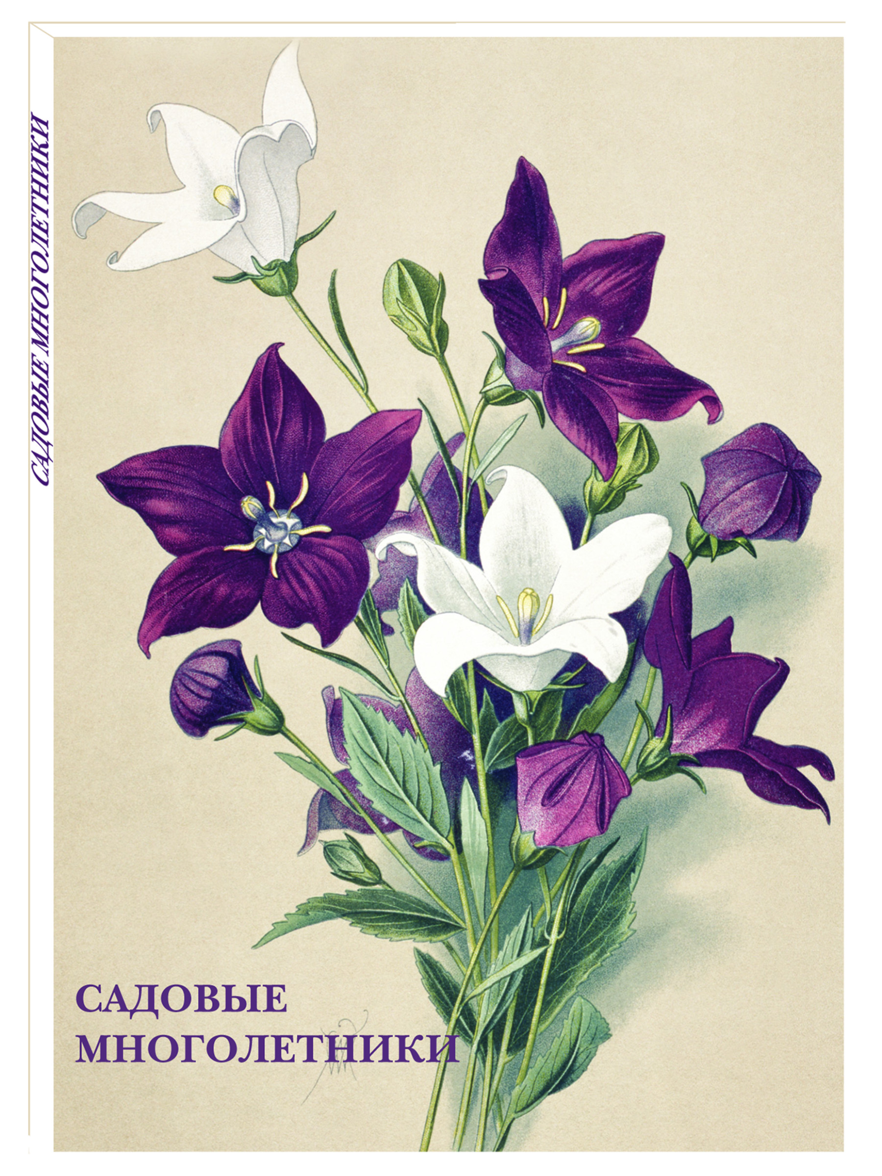 Изображение товара Набор открыток Белый город Садовые многолетники почтовые для посткроссинга