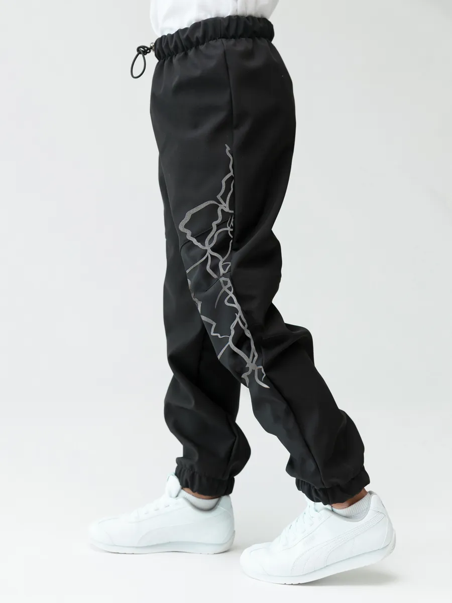 Брюки Lemonwear d5798 - фото 1