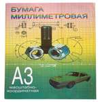 Масштабно-координатная Большой КИТ 10 лист.