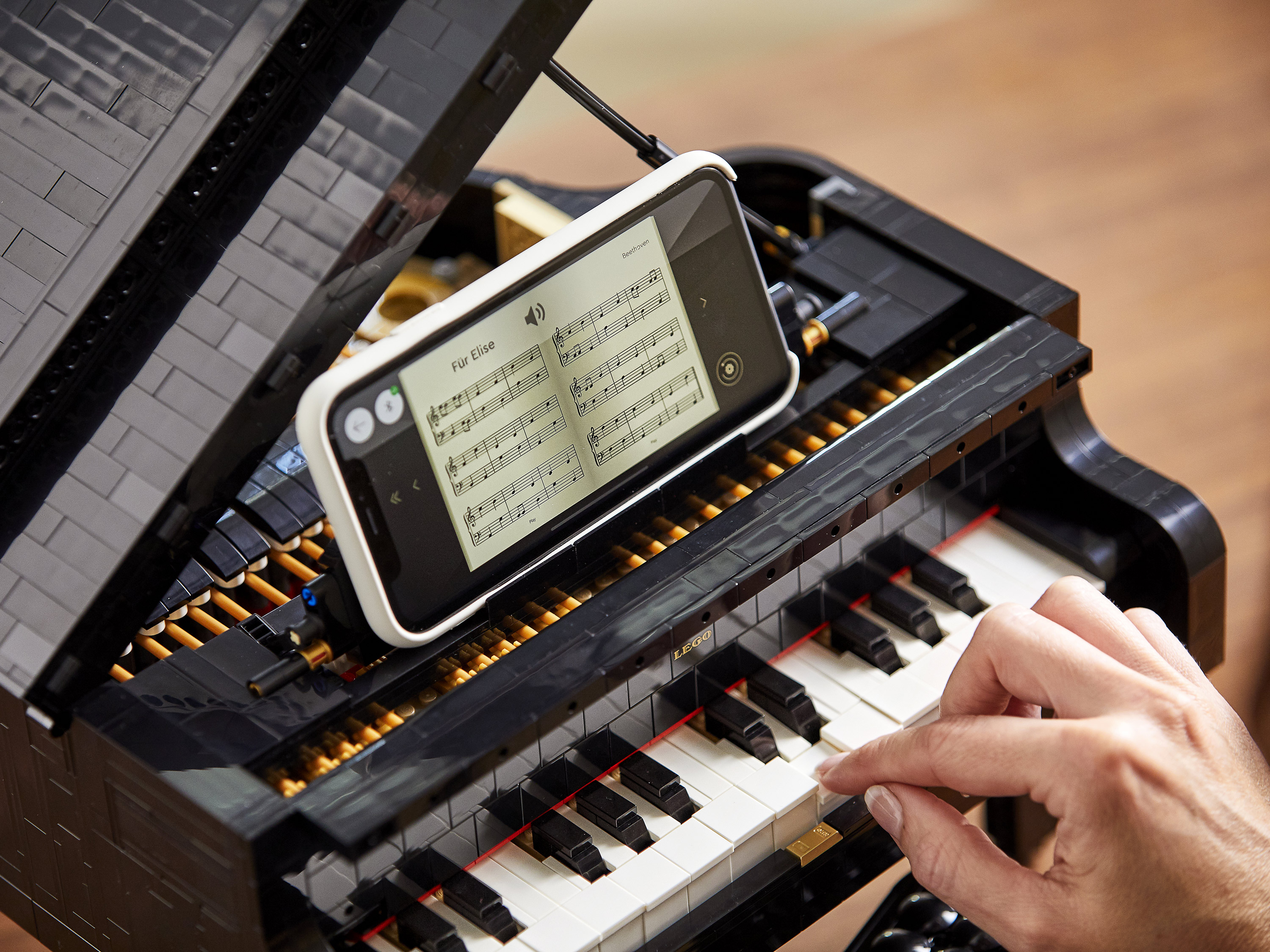 Конструктор LEGO Ideas 21323 3662 дет. - фото 3