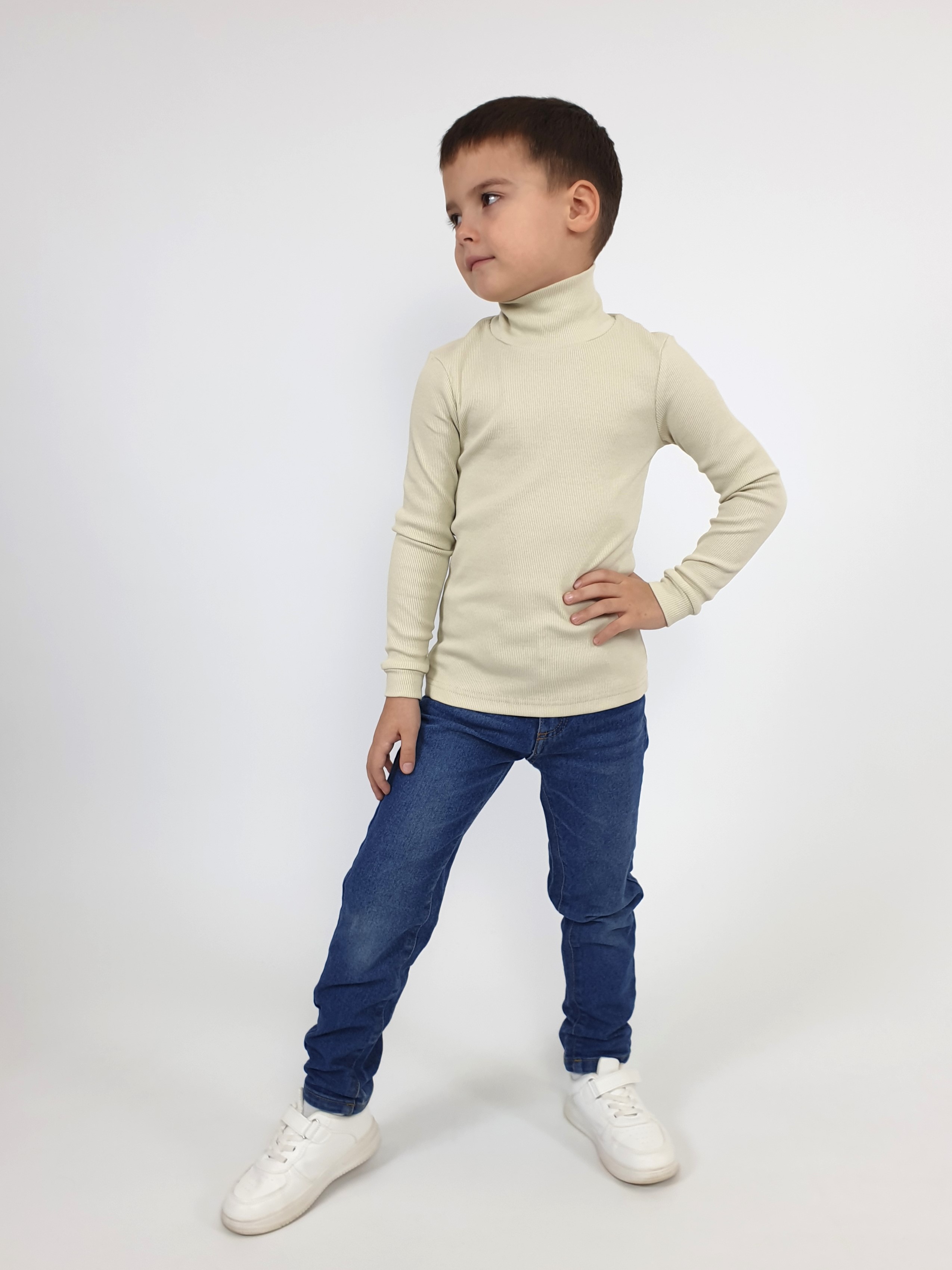 Водолазка Luneva 19-06-4. - фото 1