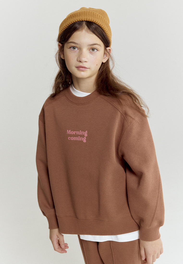 Свитшот artie W25K02T-1333D/Коричневый - фото 6