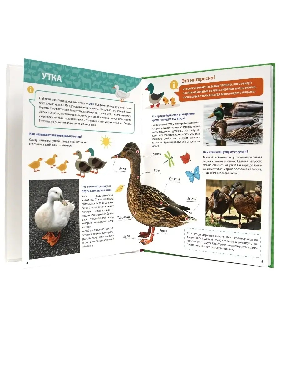 Книга Проф-Пресс Первая детская энциклопедия Всё о животных фермы малышам - фото 2