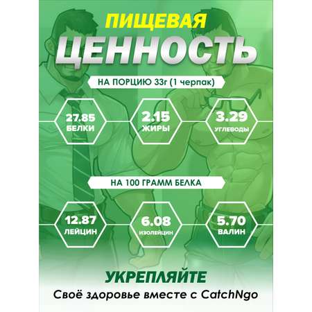 Протеиновый коктейль CatchNgo Whey Protein 950 гр. дикая земляника
