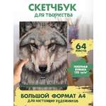 Альбом Проф-Пресс скетчбук. бумага 120 гр/м2. А4 64 лист. 1 шт.