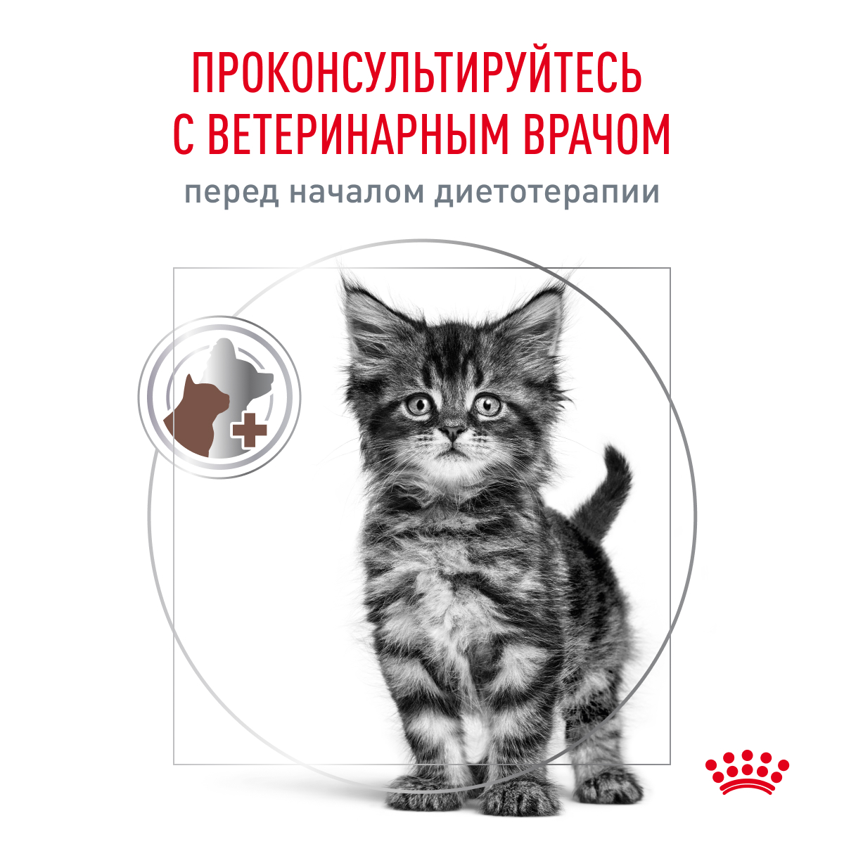 Корм для котят ROYAL CANIN Gastrointestinal kitten при нарушениях пищеварения 350г - фото 8