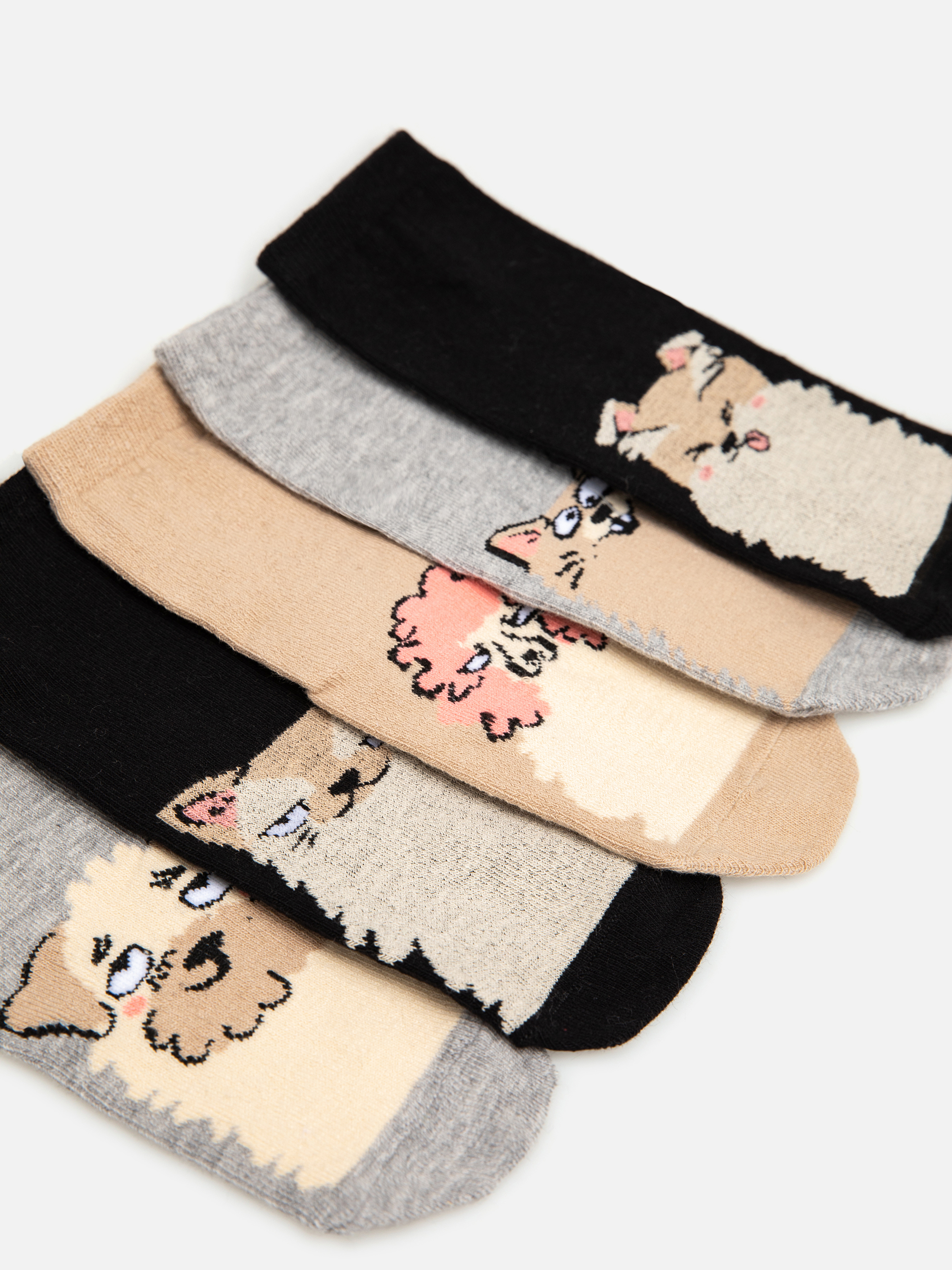 Носки 5 пар Acoola 20224420070_0072989 - фото 2