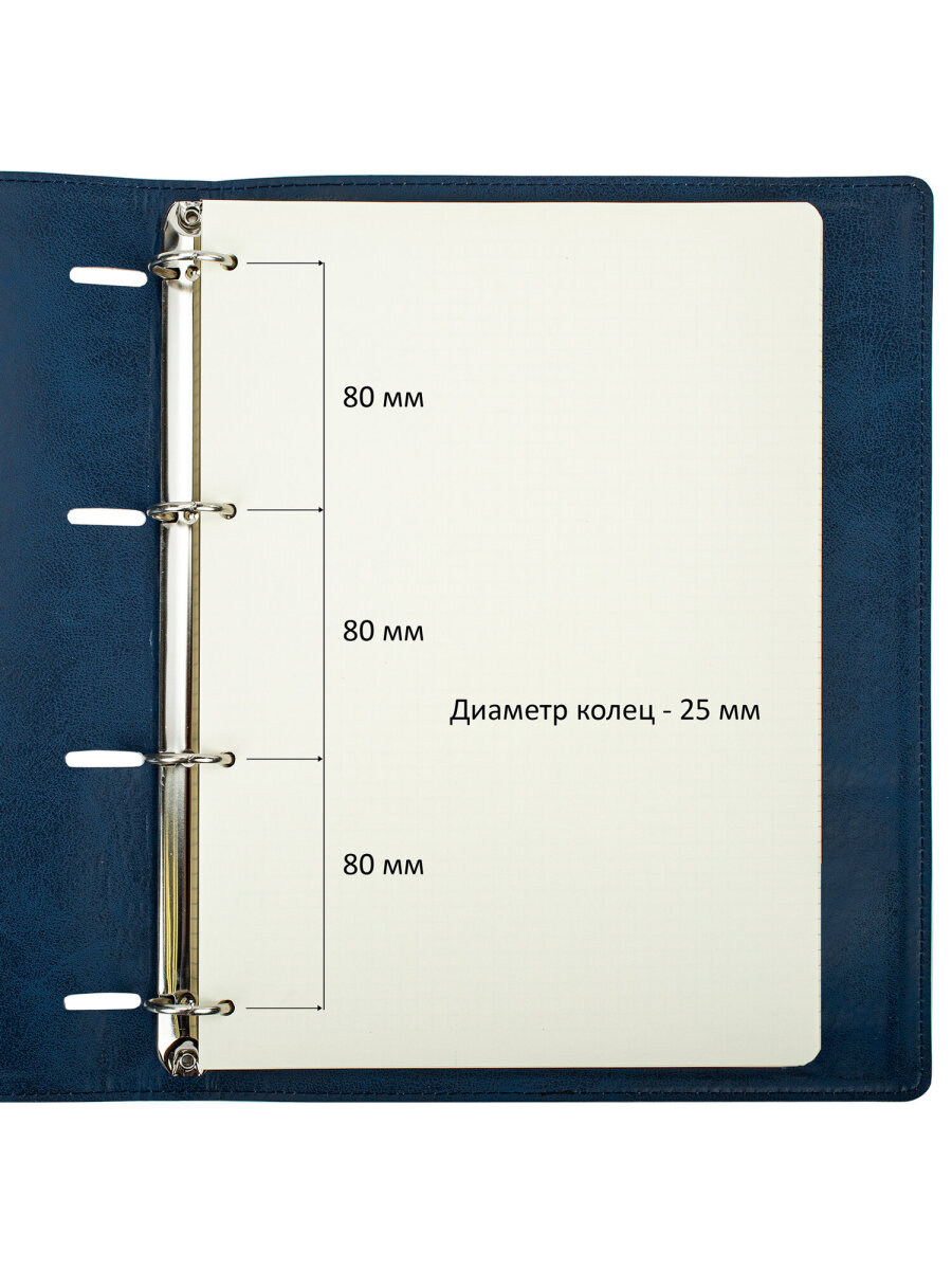 Тетрадь со сменным блоком Brauberg клетка 120 лист. - фото 5