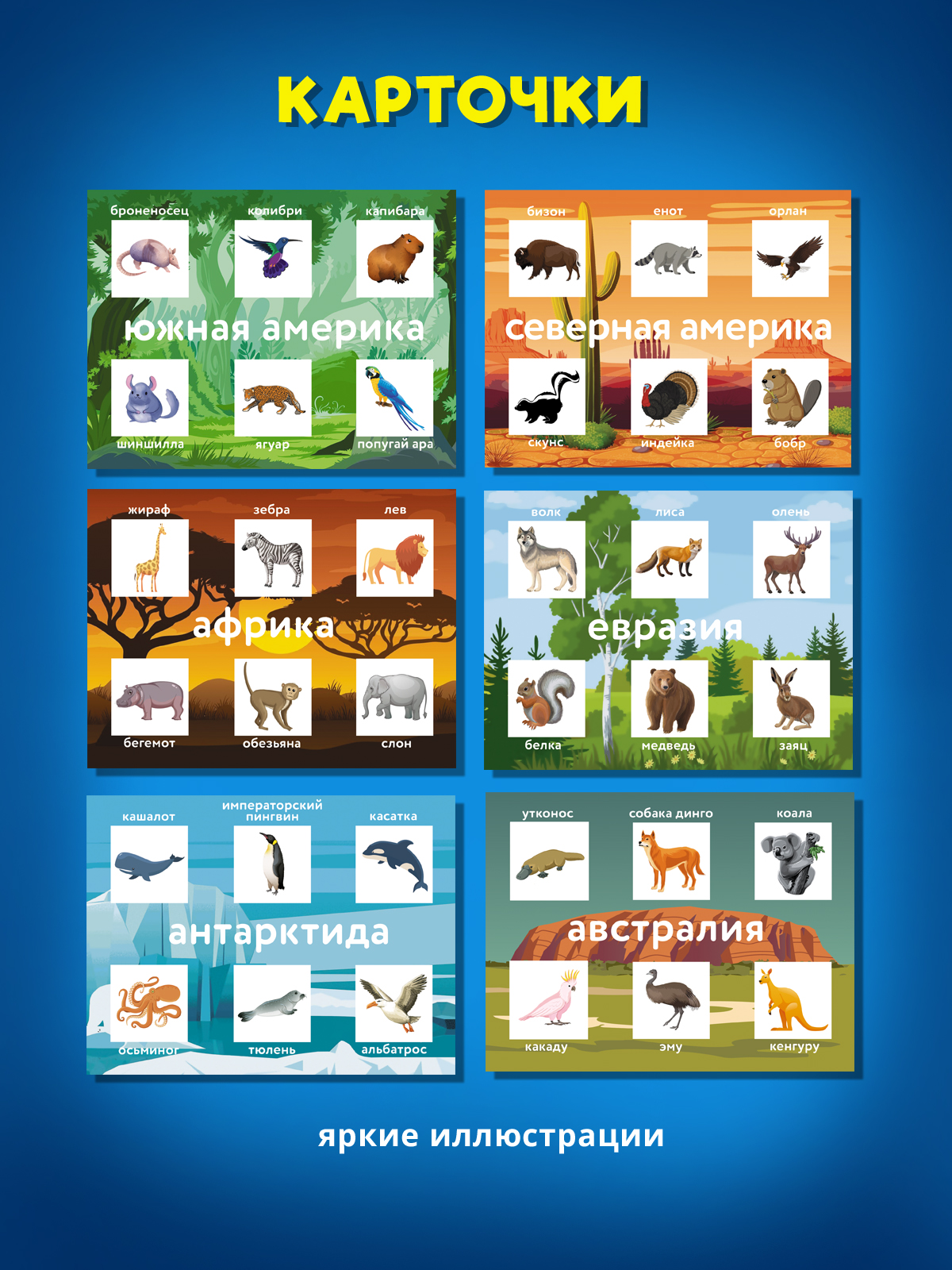 Настольная игра STELLAR Кто где живёт. Континенты - фото 5