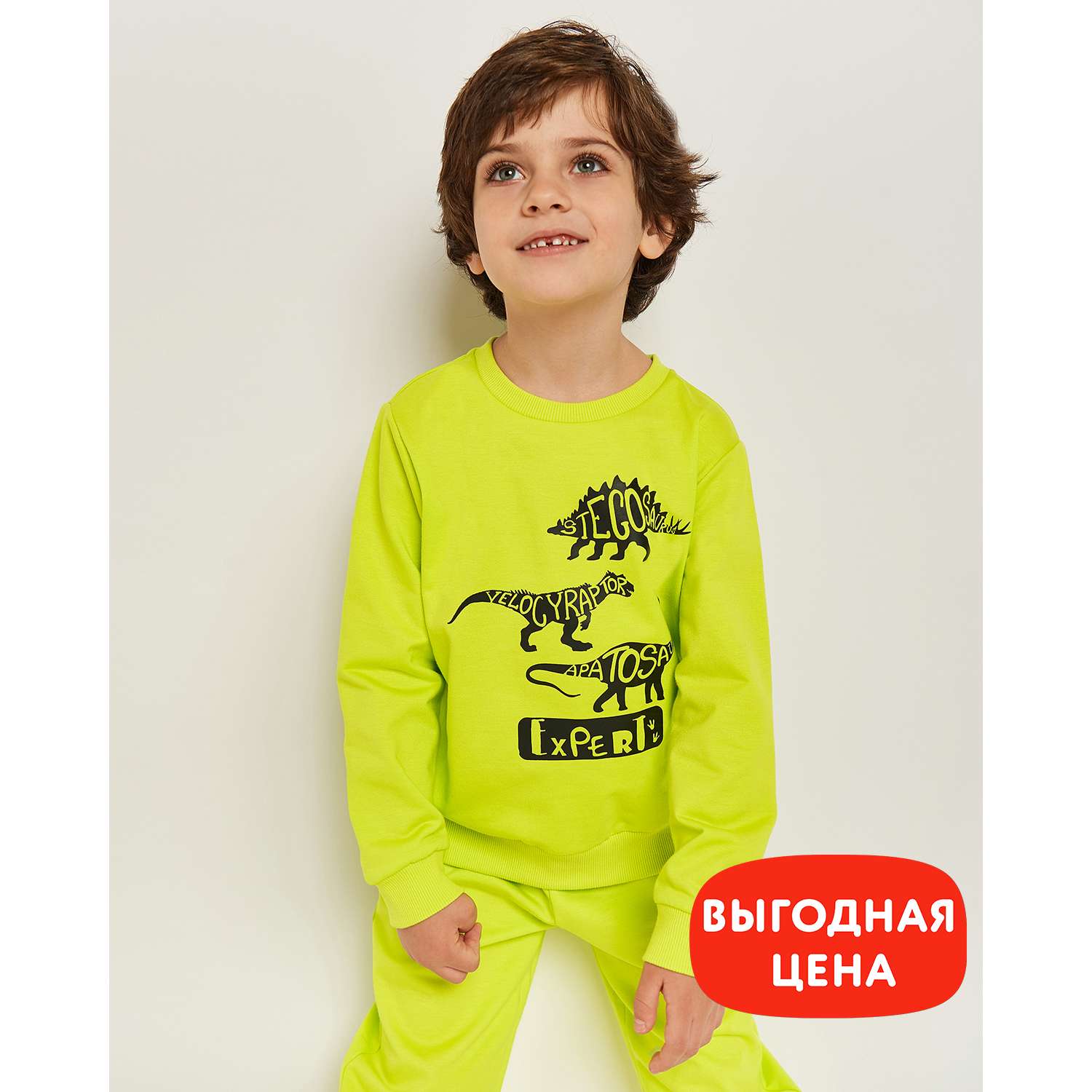 Свитшот Futurino SS23-B06FUkb-L4 - фото 1