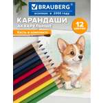 Карандаши акварельные Brauberg 12 шт.