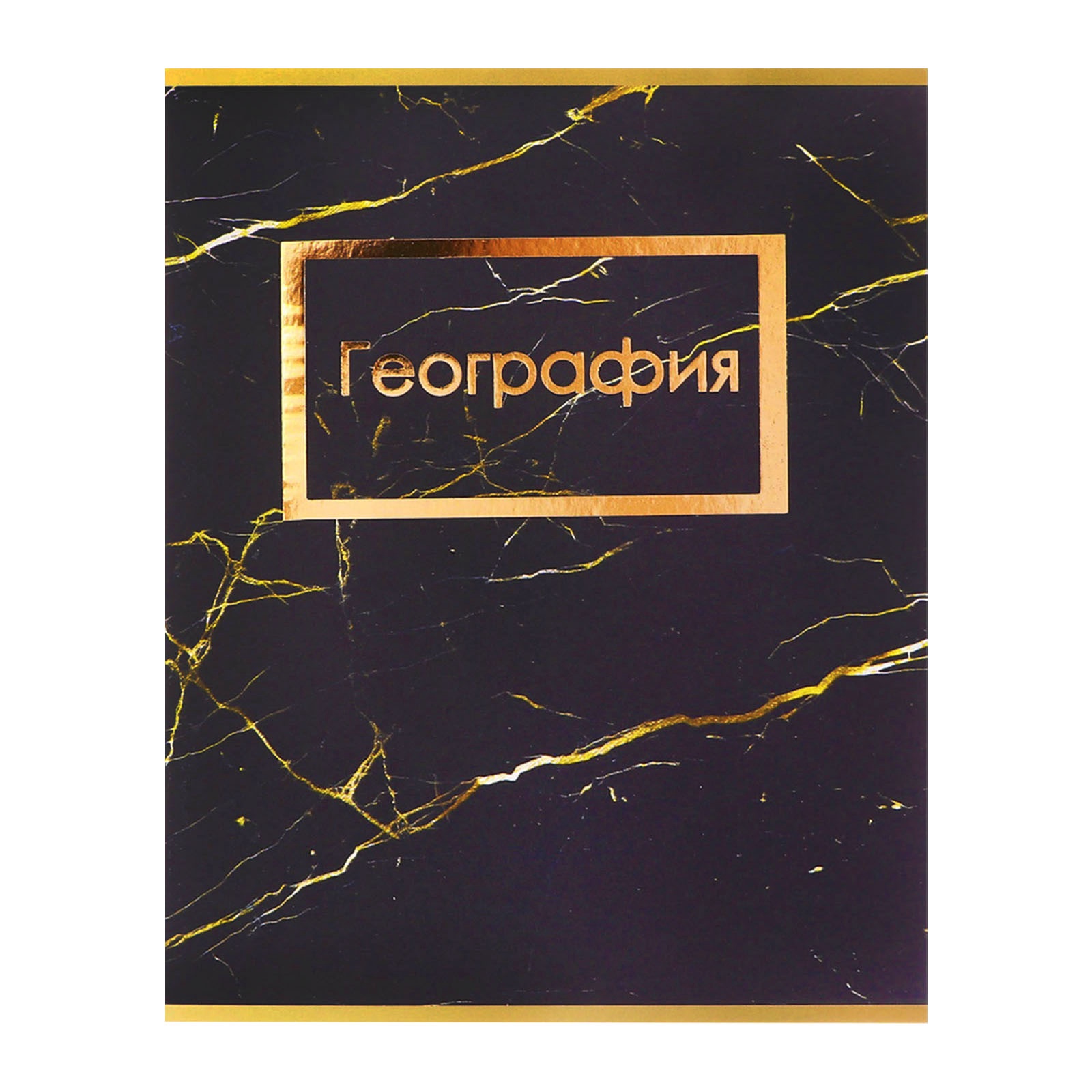 Тетрадь Calligrata - фото 15