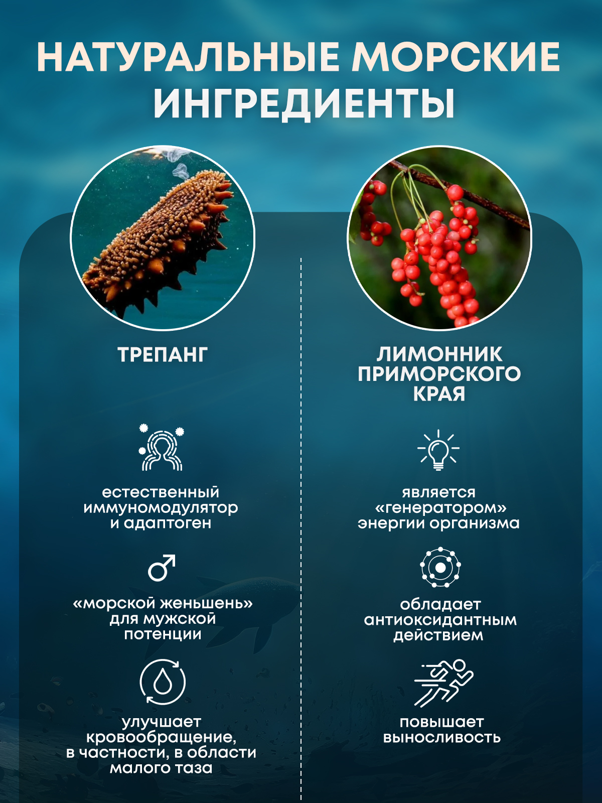 Сироп Экстра сила Доктор Море из лимонника с трепангом 100 мл - фото 3