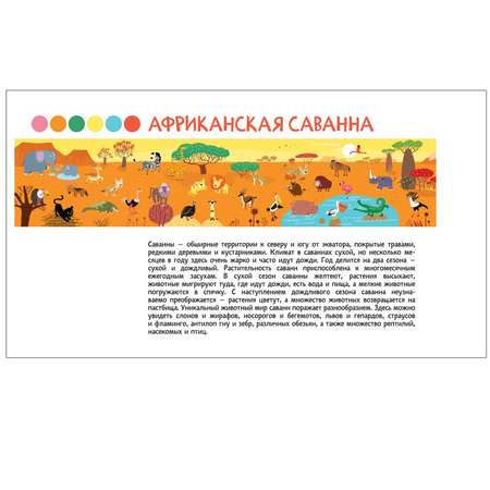 Книга МОЗАИКА kids Удивительный мир животных