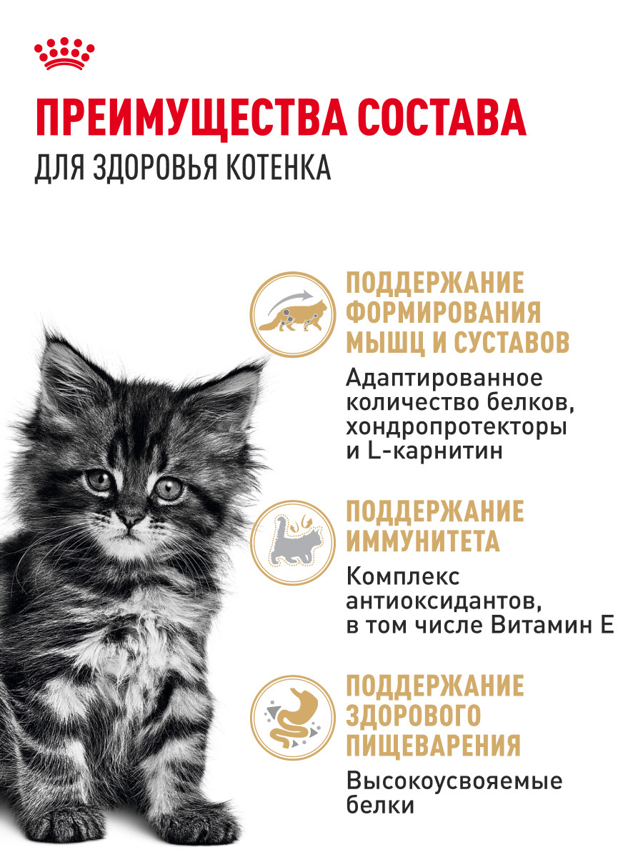 Корм для котят Royal Canin 85г Maine Coon Kitten соус для котят мейн кун пауч - фото 3