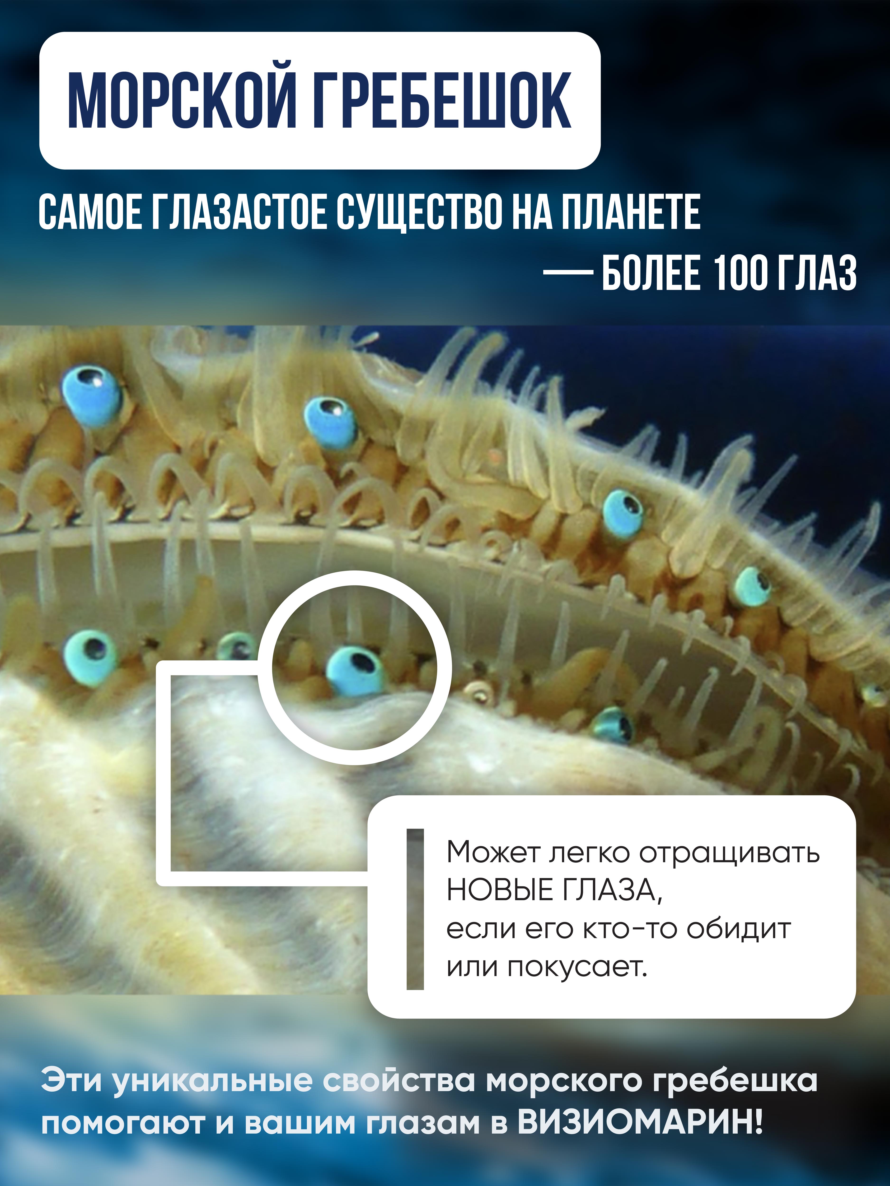 Визиомарин Доктор Море Комплексная поддержка зрения 60 капсул - фото 4