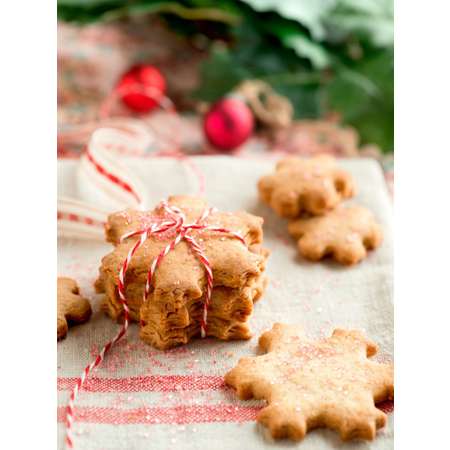Форма для печенья LEKUE Baking 884269