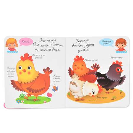 Книга Эксмо Куры и цыплята Кто это такие?