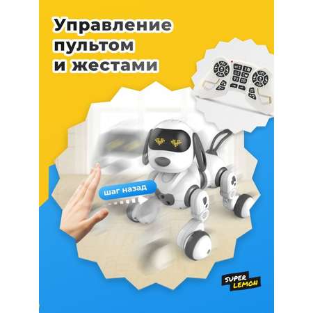 Собака РУ Super Lemon