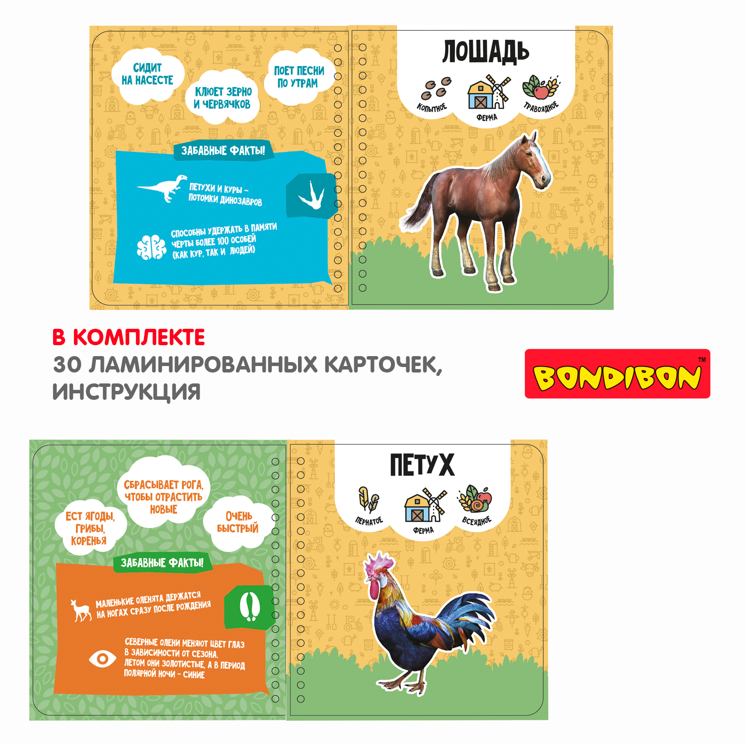 Настольная игра Bondibon в дорогу Изучаем животных AR - фото 6