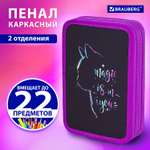 Пенал Brauberg Magic Cat