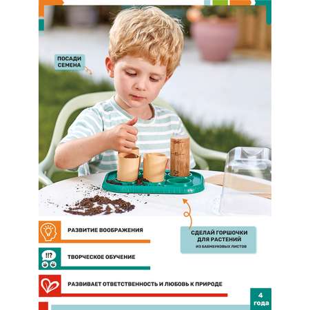 Набор для выращивания Hape