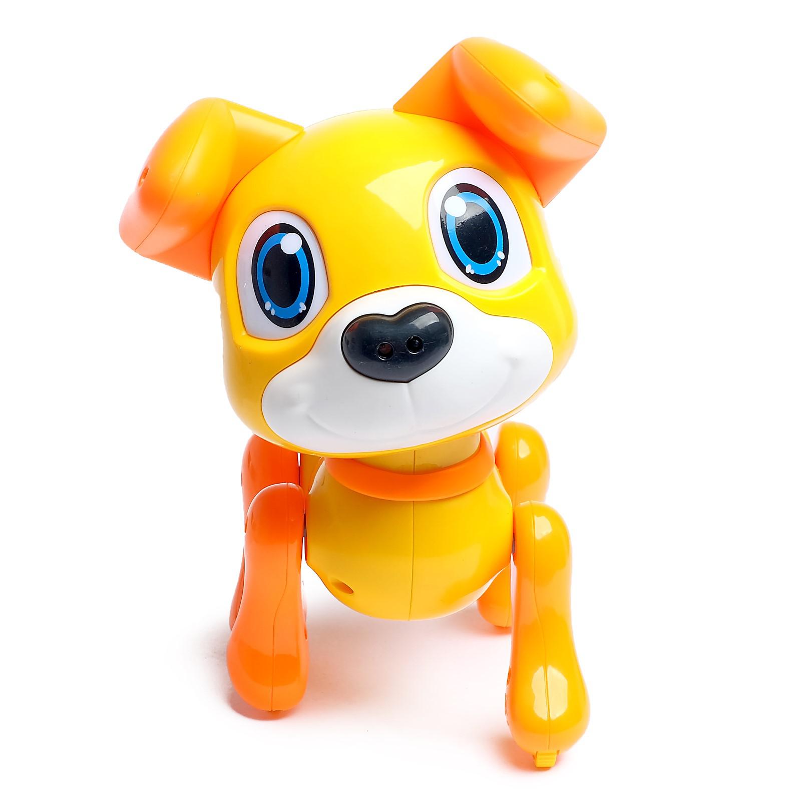 Собака РУ Zabiaka Умный щенок - фото 1