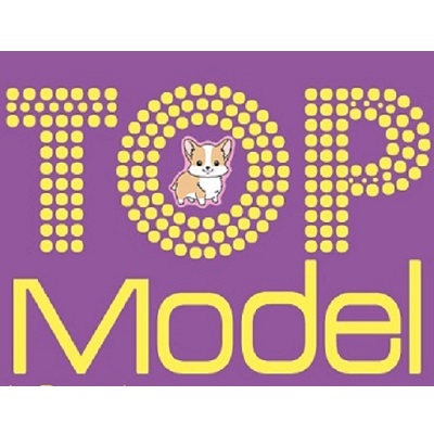 Top Model