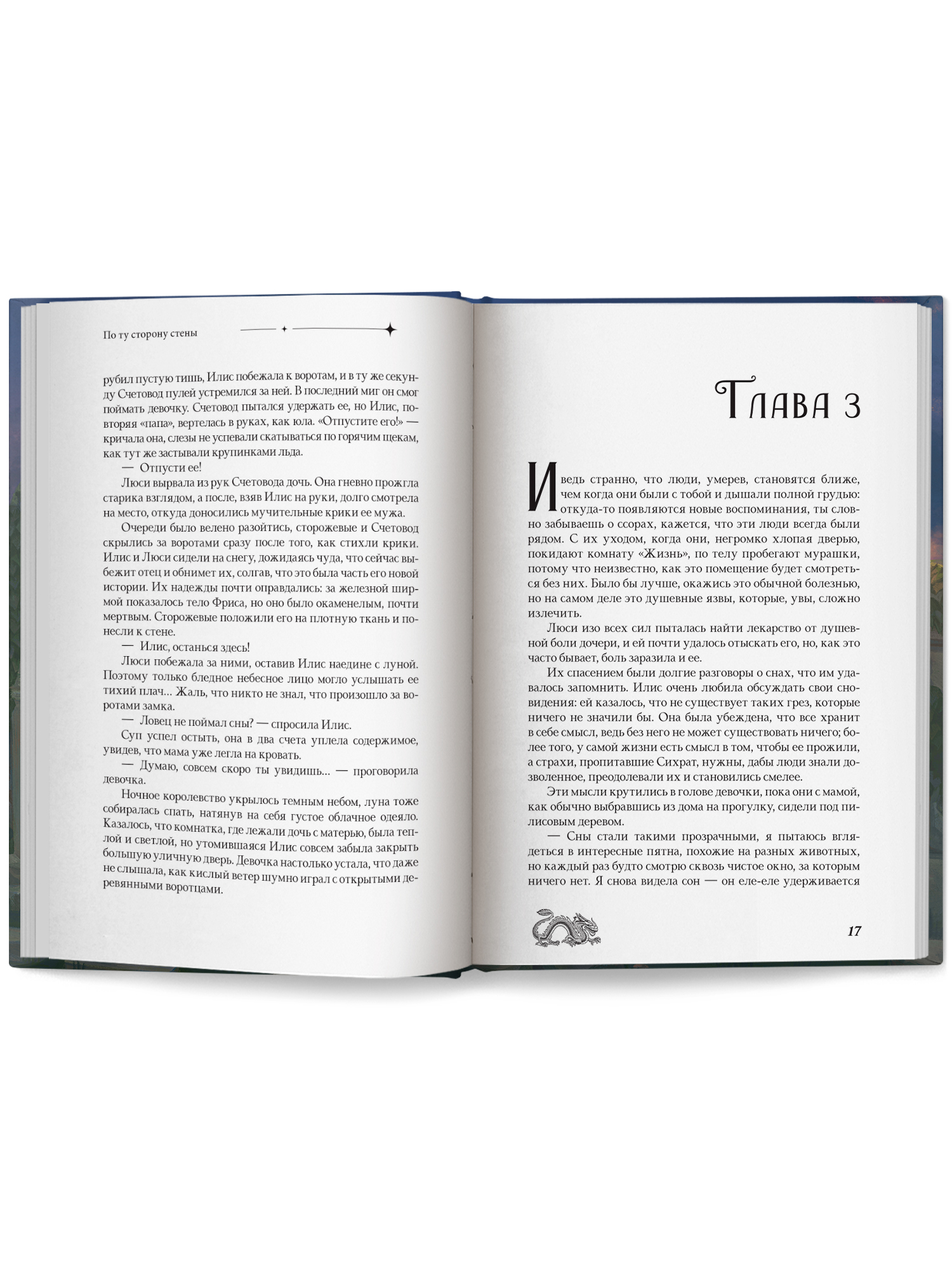 По ту сторону стены Феникс Книга - фото 14