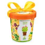 Набор для выращивания Happy Plant